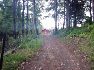 Cabaña “El Radal”. Sector Carewe, Licán Ray