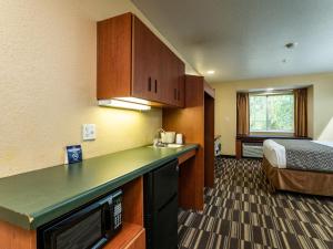 1 Queen Bed, Mobility/Hearing Accessible Room, Non-Smoking room in Microtel Inn and Suites Ocala