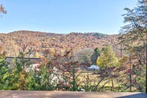 Modern Cabin with View, Pet-Friendly, Close to town