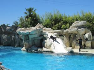 Tentes de luxe Les Pod Atypique de Sologne - Spa Privatif - Zoo de Beauval : photos des chambres