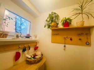 Funkcionalna garsonjera u Zemunu