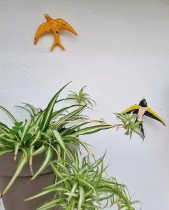 APARTAMENTOS DENMARK - Ventanas