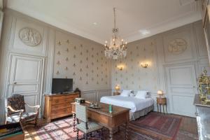 B&B / Chambres d'hotes L'Hotel de Panette, Un exceptionnel chateau en ville - Chambres et suites historiques, parking - Petit Dejeuner offert : photos des chambres