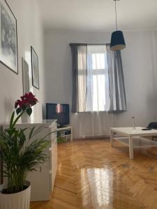 Apartament Szafir