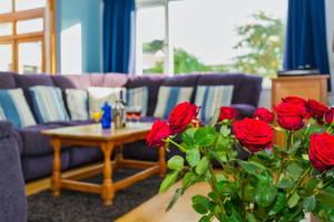 CROYDE VILLA SUNSEA 6 Bedrooms