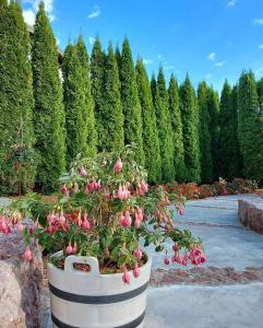 Apartmani Milicevic Zlatibor