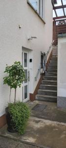 FeWo Hafner "Zuhause mit Ausblick"