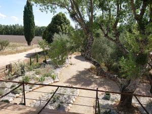 Maisons de vacances Gite Amandier, Ferme Bel Air, Riez : photos des chambres