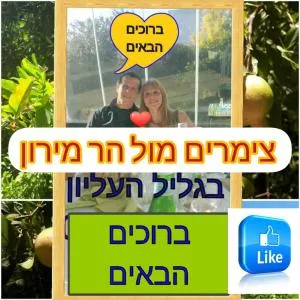 צימרים מול הר מירון בצבעון בגליל העליון אורלי ומאיר,וילה למשפחות ולזוגות - Mattat
