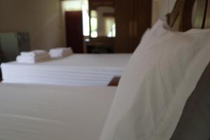 The Green Koh Phangan