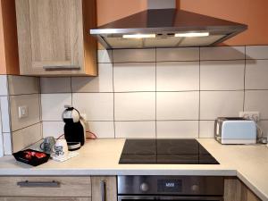 Les Randogodilleurs avec Jacuzzi à 2kms des pistes et 350m du Théatre du Peuple !