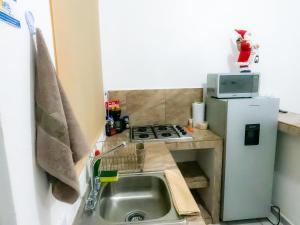 Depa Altavela en Bahía, Hospital IMSS 33 muy cerca