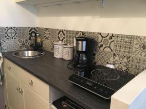 Appartements le studio Champlain : photos des chambres