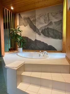 B&B / Chambres d'hotes LE CLOS DU TULIPIER : photos des chambres