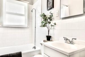 Global Cup The Dreamy Escape on Lower Greenville