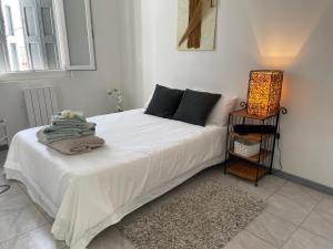 Appartements Centre Carcassonne apartment with private sunny terrace : photos des chambres