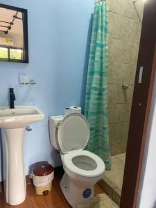 The Jungle Container