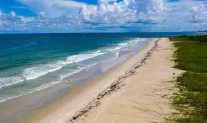 Island-Life! A - Fort Pierce Shores