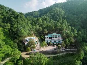 Pineland Resorts & Chalets Kasauli - Dagshai