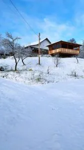 Casa Veche Corbeni - 阿雷富