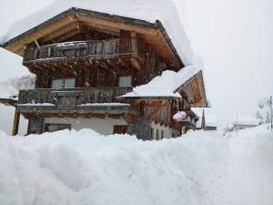 Kratter Alpenplick