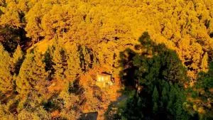 Tiny House Vogelnest - Hoyagrande