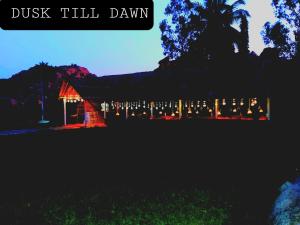 Dusk Till Dawn