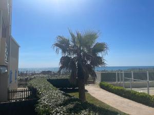 Appartements Appart Frontignan sur la plage, piscine, wifi, tv, Netflix : photos des chambres