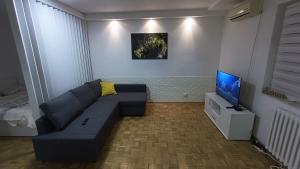 Trgovacka Zarkovo - Apartman