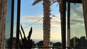 Apartamentos Amarelo