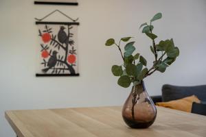 Kamienica Centrum Apartament nr 3