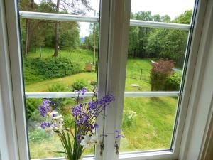 Alone In The Woods With Your Own River Nearby