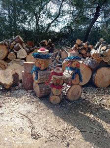 Appartement T2 très lumineux, bord de mer