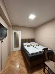 Apartman Iva II - 维丁