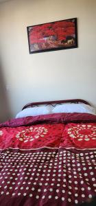 Habitaciones Mimado morelia