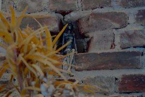 Luxuriöses Altbau im Szenenviertel