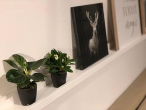 FeWo Ruhrnatur „Modern trifft Gemütlichkeit“