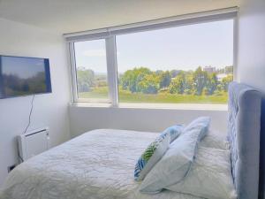 Departamento estudio IslaTeja