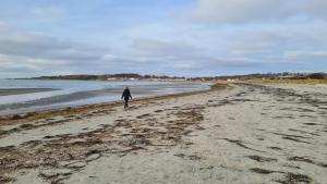 Minihuset nära havet