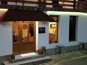 Pensiunea Bulevard - Valcea