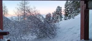 Studio pied des pistes Arcs 2000 - Résidence le Varet