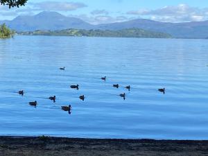 Fabulous Lodges at Cameron House, Loch Lomond