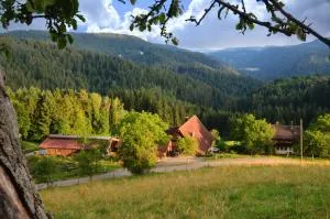 Hansjörgenhof Bioland-Hof - 希尔塔赫