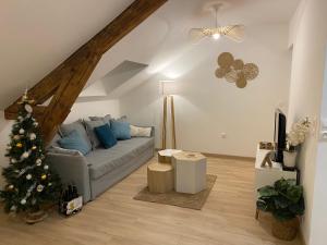 Appartements Chez Gustave charmant T2, 4 min place Ducale : photos des chambres