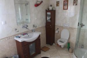 Smyrecek-centrum Bukowiny