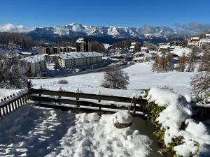 Appartements Studio avec jardin et vue imprenable sur Valberg et le Saint Honorat : photos des chambres