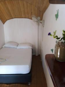 Hostal Paloma Café