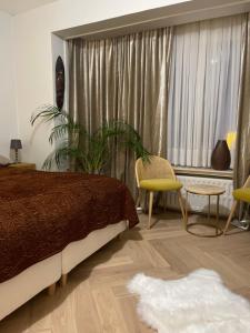 Logies One Room