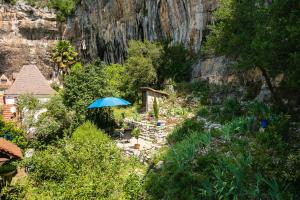 Appartements Gites Un Jardin dans la Falaise : photos des chambres