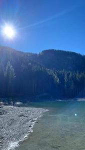 Ferienwohnung Dalmatiner